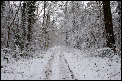 Le Loiret en hiver